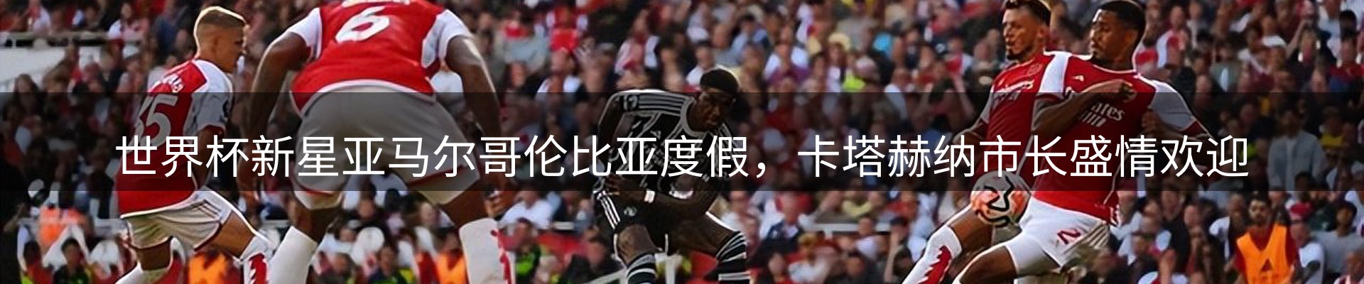最新资讯