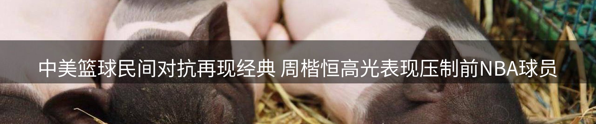 最新资讯