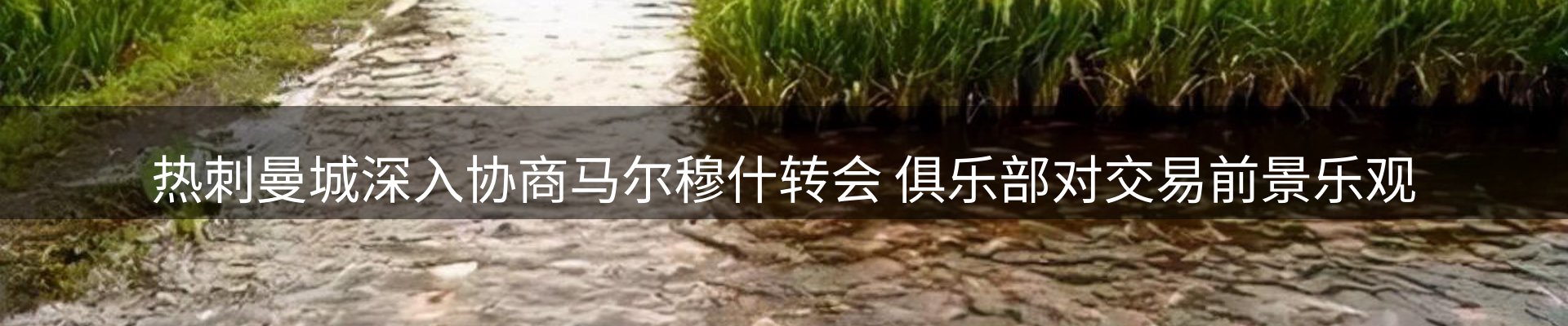 最新资讯