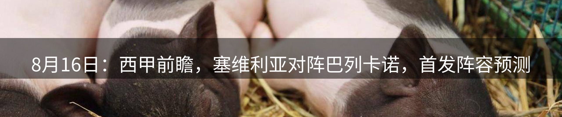 最新资讯